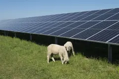 La energía solar fotovoltaica, clave en la lucha contra el cambio climático en España