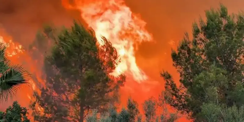 Incendios forestales en España: situaciones críticas en Castellón, Huesca, Girona y Catalunya