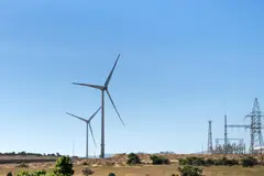 La contaminación lumínica y acústica amenazan la vida marina