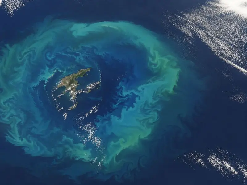 Un satélite capta un anillo de fitoplancton en el océano que atrae cetáceos a zonas peligrosas