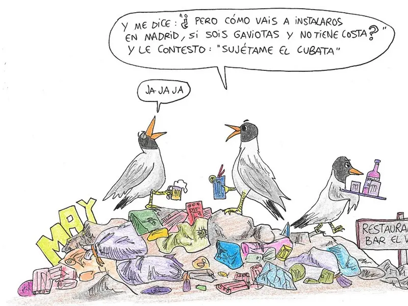 Las gaviotas en Madrid: migración invernal sin costa