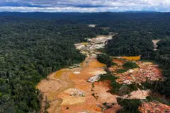Polémica por la nueva Ley Orgánica de Minas en Venezuela y sus riesgos ambientales
