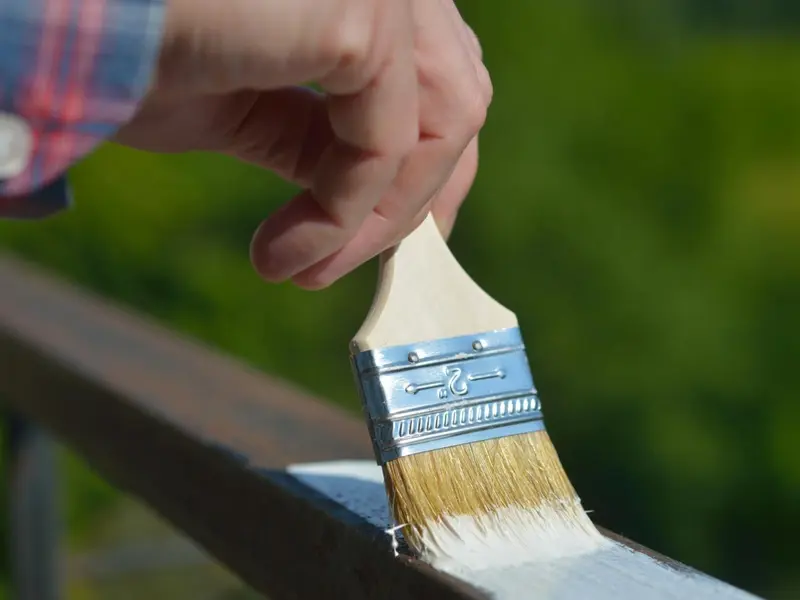 CSIC desarrolla pintura que limpia el aire al captar CO2 sin energía