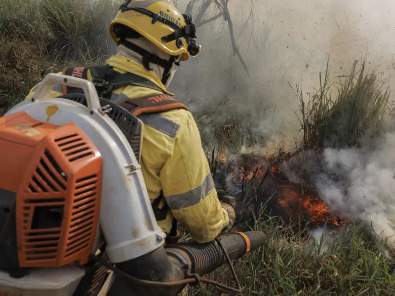 Las quemas controladas reducen el riesgo de incendios graves y la contaminación en California