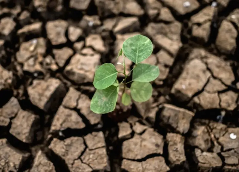La mayoría de los españoles consideran el cambio climático una amenaza grave