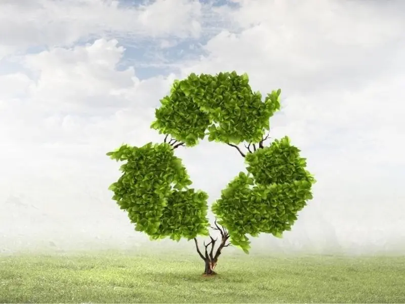 Cantabria lanza los Premios MARE para fomentar la economía circular y la innovación