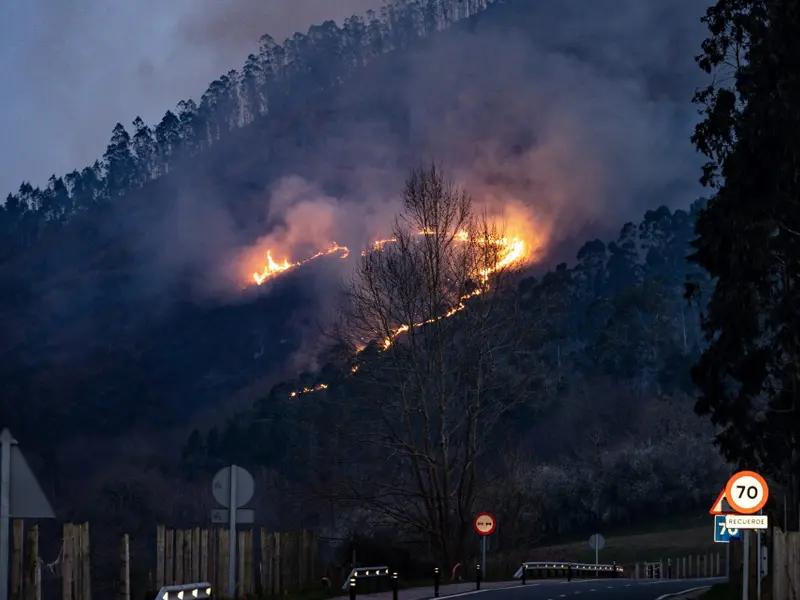 Cantabria enfrenta un año severo con más de mil incendios forestales y 12.000 hectáreas quemadas