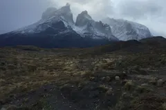 Crisis de incendios en la Patagonia argentina por el cambio climático
