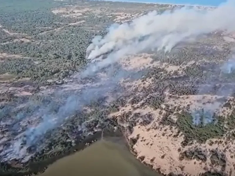 El incendio en Doñana amenaza zonas críticas del Parque Nacional