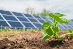 La agrovoltaica: una solución solar para mejorar la agricultura europea