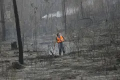 Los incendios forestales destruyen 157 millones de hectáreas en el primer cuatrimestre de 2026