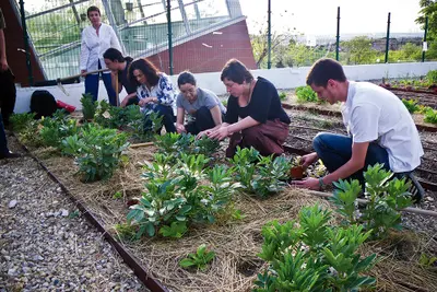 Curso gratuito de educación ambiental para jóvenes en Rivas Vaciamadrid