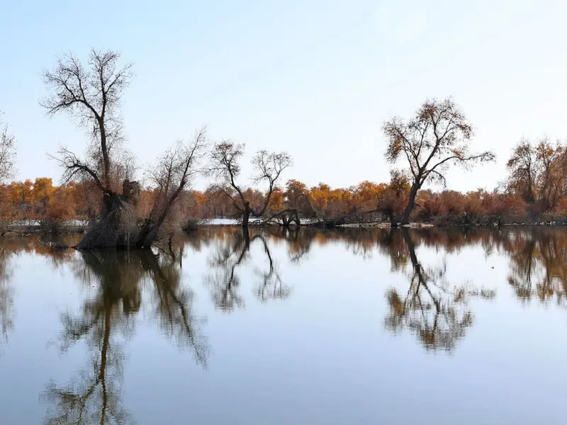China logra un cinturón verde en el Taklamakán, pero enfrenta retos para su sostenibilidad