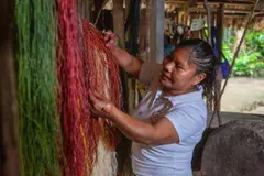 Emprendedores y sostenibilidad: un reto que impulsa oportunidades en España y América Latina