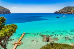 Olas de calor en el Mediterráneo afectan más del 60% del ecosistema marino