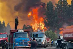 Incendios en la Patagonia: cómo prevenir y adaptarse al cambio climático