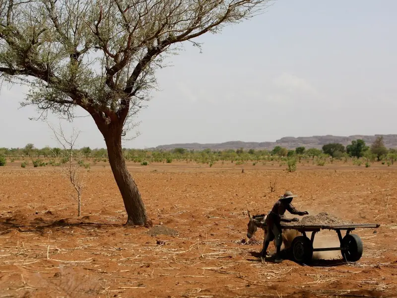 Crisis humanitaria en África oriental por sequías, inundaciones y conflictos, según la ONU