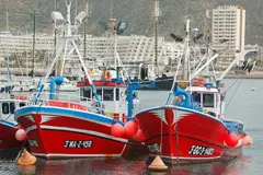 Conflicto entre pesca canaria y eólica marina llega al Parlamento Europeo por impacto sectorial