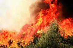 El Niño eleva el riesgo de incendios y ya se han quemado 150 millones de hectáreas en 2026