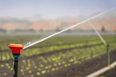 Proyectos en Murcia transforman aguas residuales en fertilizantes sostenibles