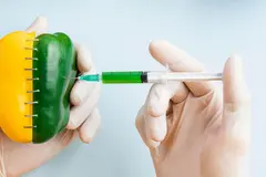 Día Internacional de la Oposición a los Transgénicos 2026: un llamado sobre sus riesgos ambientales