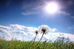 Subida de temperaturas y vientos fuertes marcan el tiempo en España hoy 14 de abril