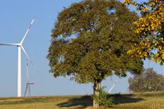 Aragón avanza en su transición energética con más de 900 MW y nuevas oportunidades laborales