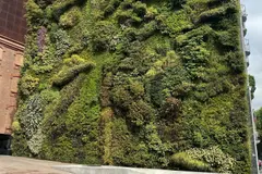 Madrid implementará jardines verticales en la M-30 para mejorar el aire y reducir el calor