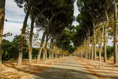 El Corredor Ecológico del Suroeste, un pulmón verde amenazado en Madrid