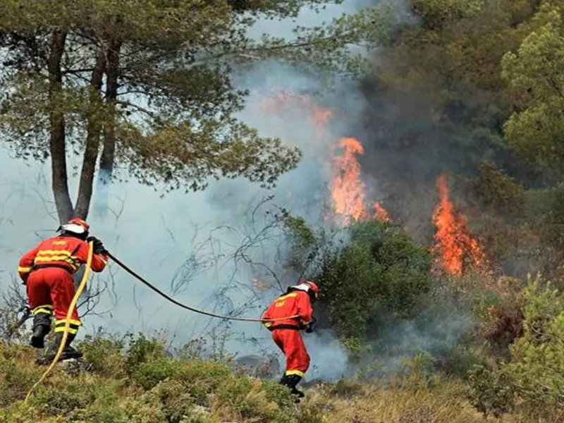 La Rioja demanda un pacto para prevenir incendios y frenar la despoblación rural