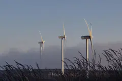 Cierre de grandes parques eólicos en Galicia por su impacto ambiental