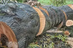 Controversia por Acuerdo UE-Mercosur: Riesgos de Deforestación y Plaguicidas