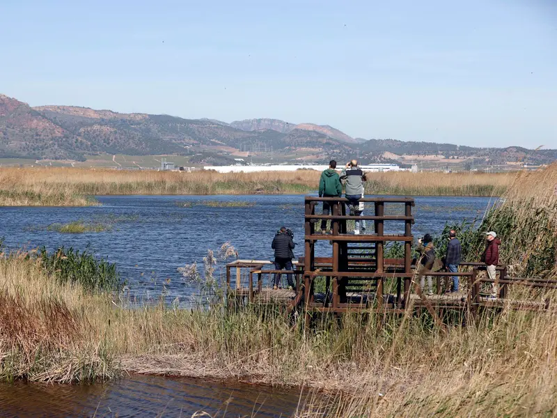 El proyecto LIFE Wetlands4Climate, galardonado en los premios LIFE Award 2026