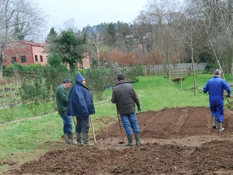 Últimas plazas para el taller de injertos de primavera en Oleiros