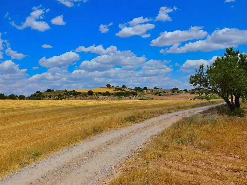 El MITECO aprueba un plan para transformar 25 municipios rurales en Castilla-La Mancha