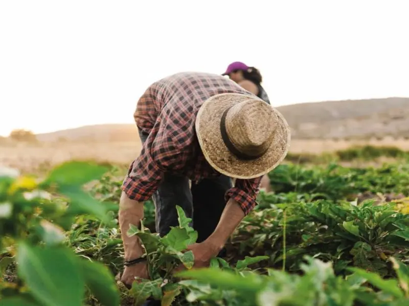 La UE propone un fondo climático para agricultores en la PAC 2028 frente a sequías e inundaciones