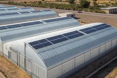El sector hortícola español se adapta a las energías renovables para mejorar su rentabilidad