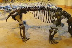 Descubrimiento de un huevo fósil de Lystrosaurus transforma comprensión de la evolución mamífera