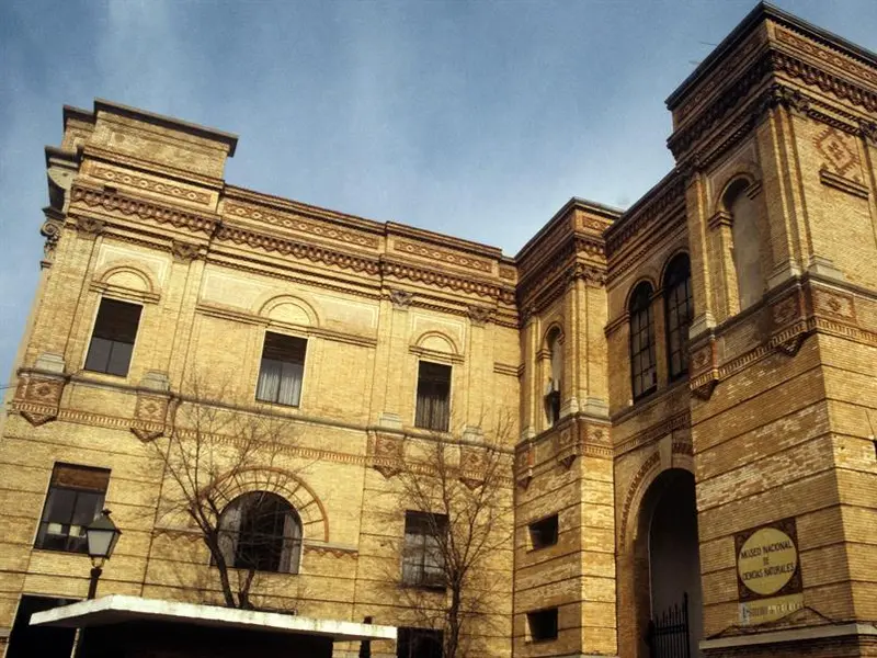 El Museo Nacional de Ciencias Naturales celebra el Día de los Museos con actividades abiertas