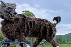 El lobo robot Monster Wolf se convierte en solución contra ataques de osos en Japón