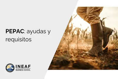El PEPAC 2023-2027: nuevo marco de ayudas agrarias en España con enfoque en sostenibilidad