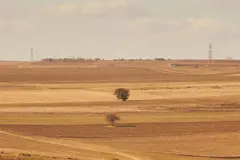 Guatemala se enfrenta a una sequía extrema debido a El Niño