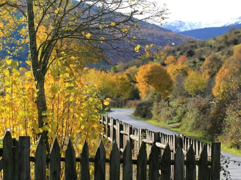 La Rioja destina 500.000 euros para mejorar senderos en la Sierra de Cebollera y fomentar el ecoturismo