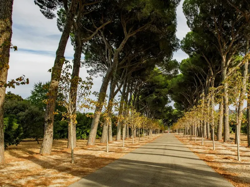 El Corredor Ecológico del Suroeste, un pulmón verde amenazado en Madrid