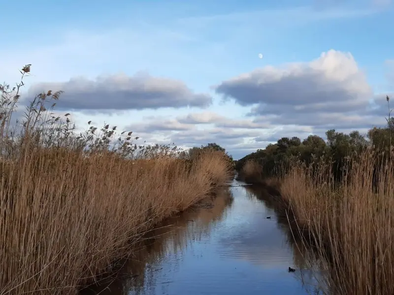 Inversión de 600.000 euros para mejorar s’Albufera de Mallorca tras 8 años sin actividad