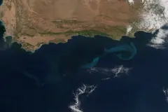 Los remolinos oceánicos intensifican fenómenos climáticos extremos, según un estudio