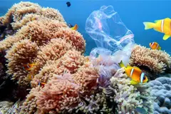 Los océanos contienen un 20% de contaminación química humana, según estudio