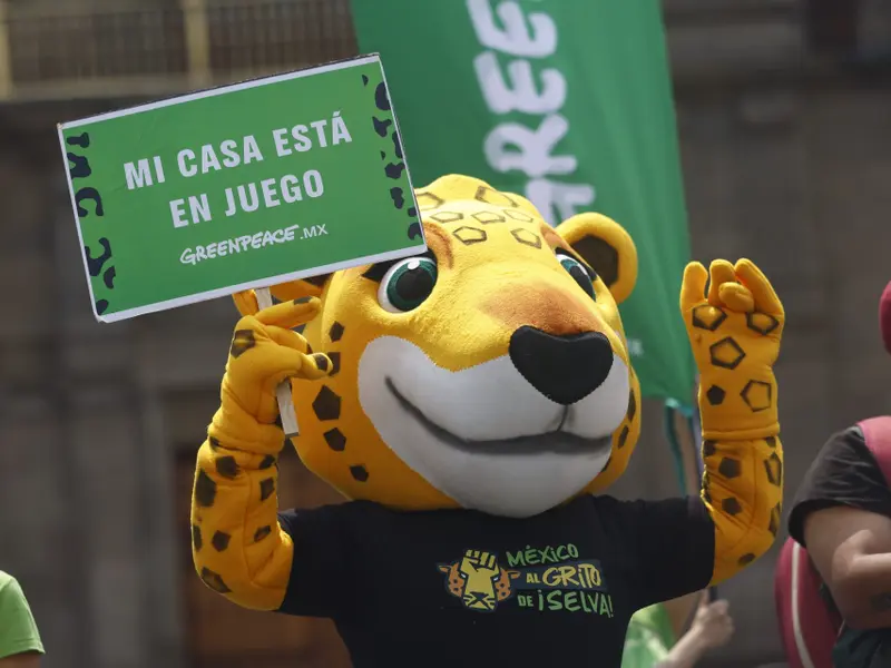 Greenpeace lanza la 'Ruta del jaguar' para proteger la Selva Maya