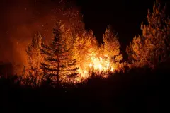 CSIF alerta sobre falta de medios para prevenir incendios forestales en España
