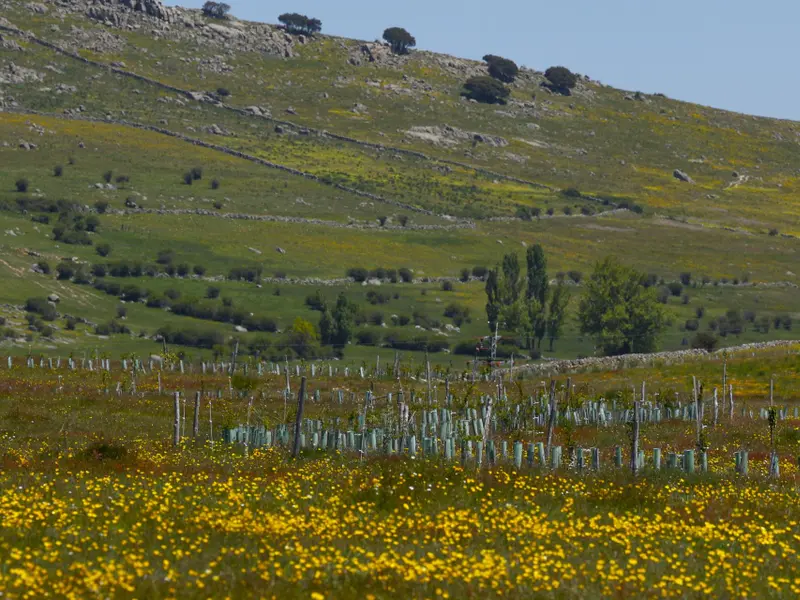 La agricultura regenerativa podría reducir a la mitad la escorrentía en Valencia